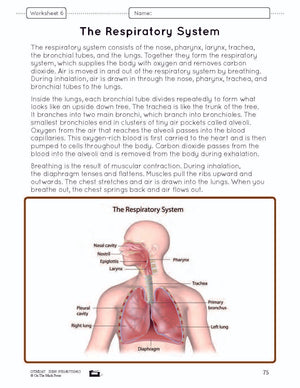 Systems in the Body e-Lesson Plan Grade 8