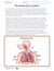 Systems in the Body e-Lesson Plan Grade 8