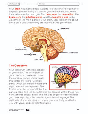 Systems in the Body e-Lesson Plan Grade 8