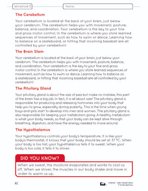 Systems in the Body e-Lesson Plan Grade 8