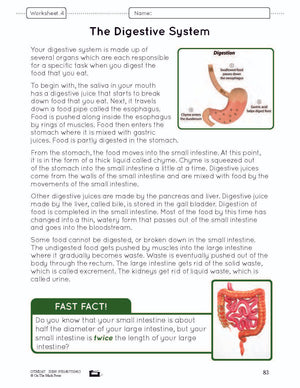 Systems in the Body e-Lesson Plan Grade 8