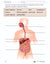 Systems in the Body e-Lesson Plan Grade 8