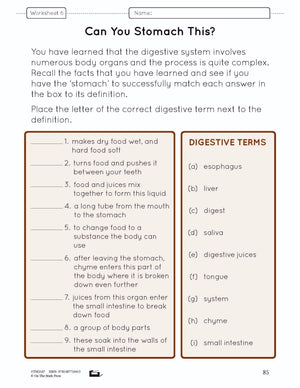 Systems in the Body e-Lesson Plan Grade 8