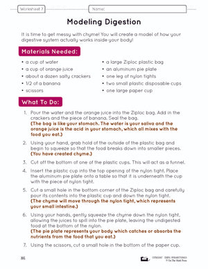 Systems in the Body e-Lesson Plan Grade 8