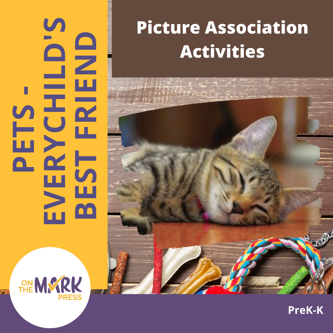 Pets - Picture Association Activities Prek-K Lesson Plan