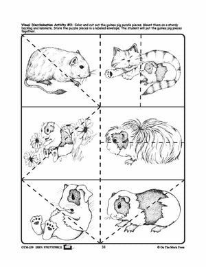 Pets - 10 Visual Discrimination, 4 Sequencing & 1 Rhyming Activity Prek-K