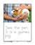 Pets - My Pet Printing Booklet Prek-K