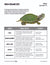 Animals: Student Reading Information & Worksheets Grades 3+