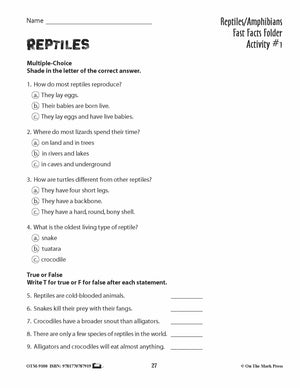 Reptiles Activities & Fast Fact Reading Folder Grades 3+