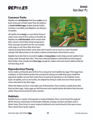 Reptiles Activities & Fast Fact Reading Folder Grades 3+