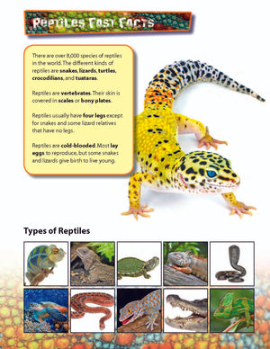 Reptiles Activities & Fast Fact Reading Folder Grades 3+