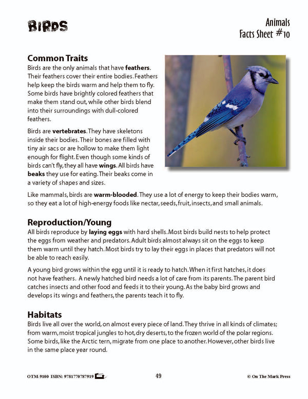 Fast Facts Folder Birds Activities & Fast Fact Reading Folder Grades 3+