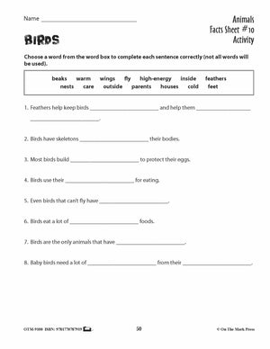 Birds Activities & Fast Fact Reading Folder Grades 3+