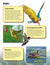 Birds Activities & Fast Fact Reading Folder Grades 3+