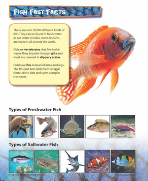 Fish Activities & Fast Fact Reading Folder Grades 3+