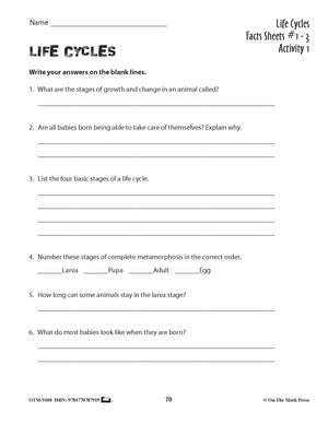 Life Cycles Activities Grades 3+