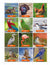 Animal Photo Activity Cards & Classification Labels Grades 3+