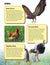 Birds & Fish Reading Folder Grades 3+