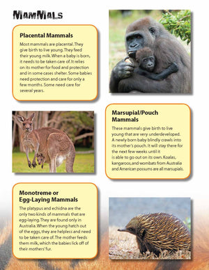 Mammals Full Color 4 Page Reading Folder Grades 3+