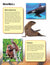 Mammals Full Color 4 Page Reading Folder Grades 3+