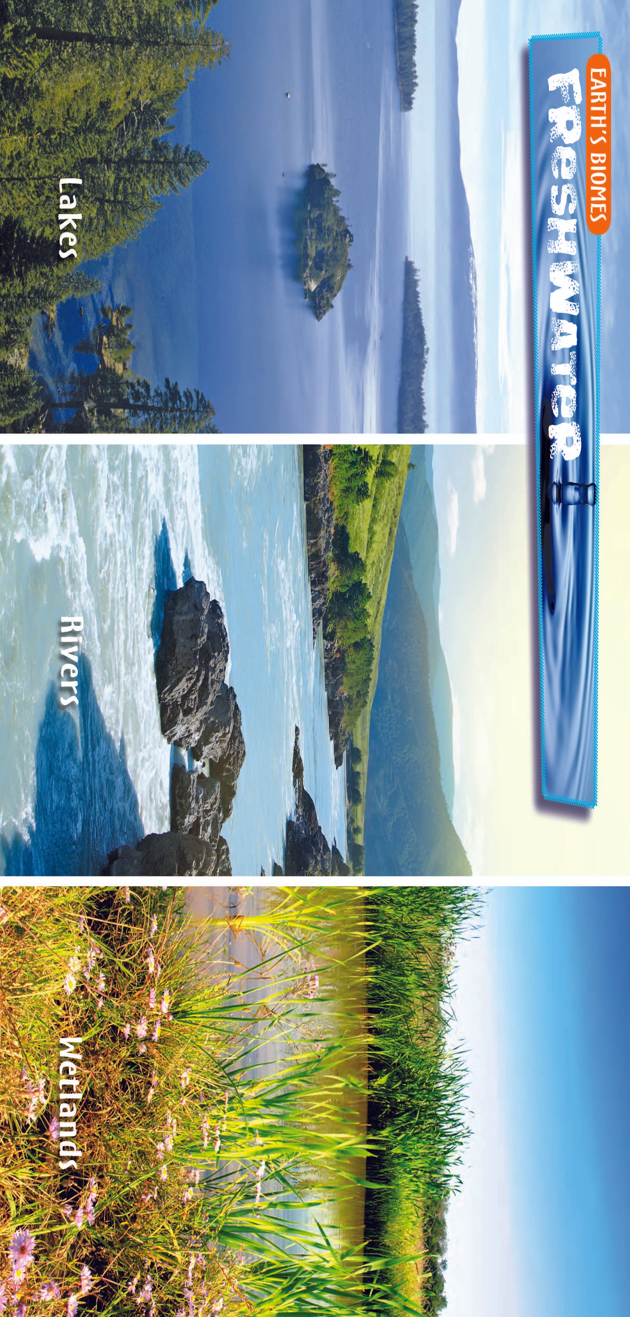 10 Life Biome Full Color Mini-Posters Grades 3+