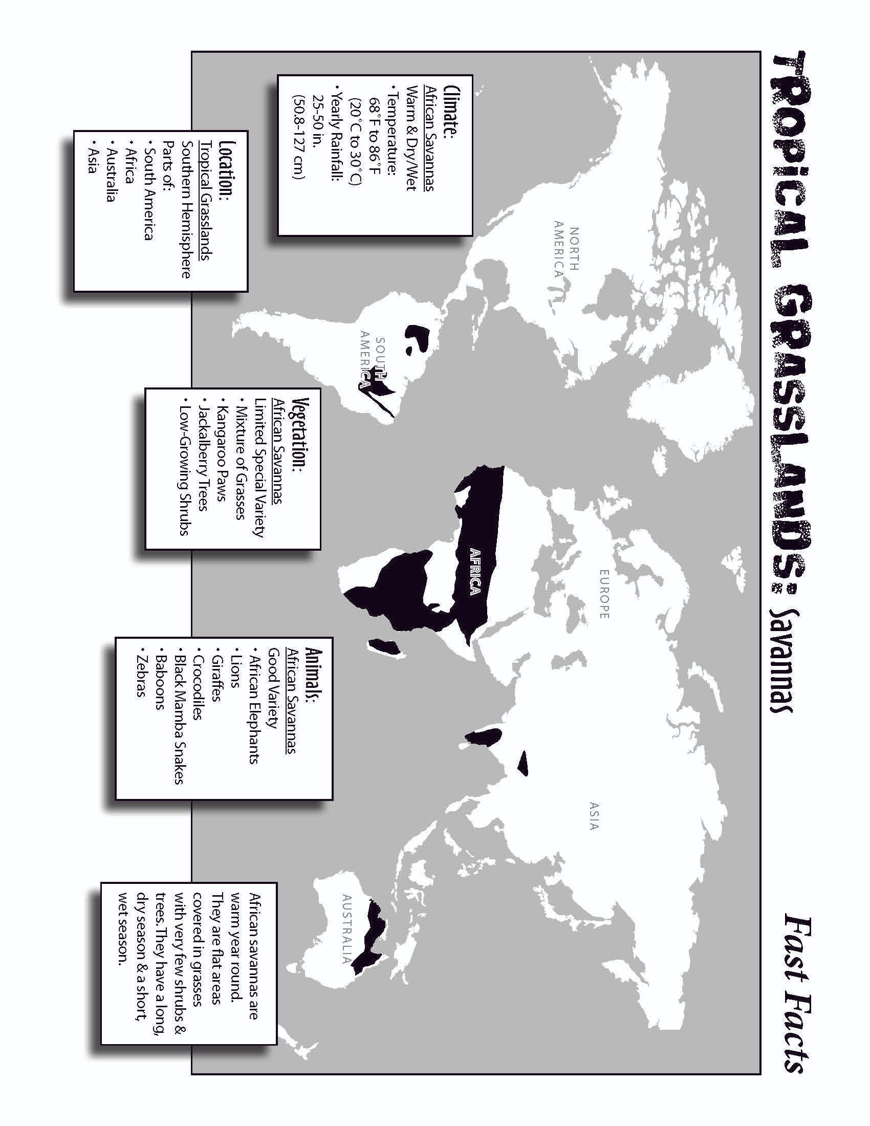 10 Life Biome Full Color Mini-Posters Grades 3+