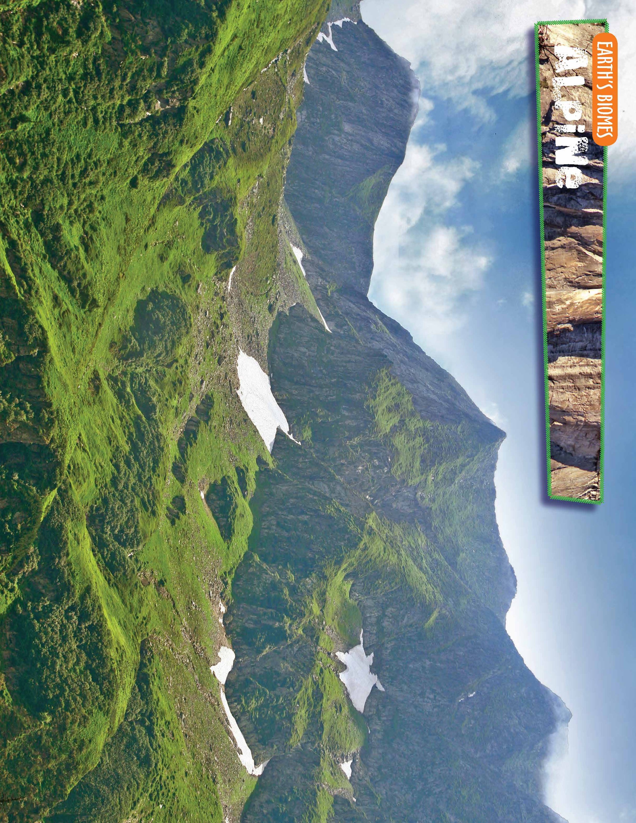 10 Life Biome Full Color Mini-Posters Grades 3+