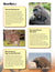 Animals & Habitats Life Science Binder Plus Program Grades 3-4+