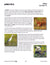Animals & Habitats Life Science Binder Plus Program Grades 3-4+