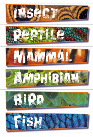 Animals & Habitats Life Science Binder Plus Program Grades 3-4+