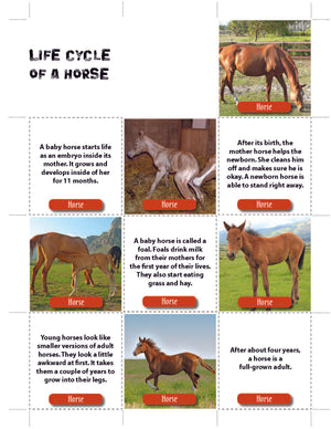 Animals & Habitats Life Science Binder Plus Program Grades 3-4+