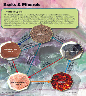 Rocks & Minerals Fast Fact Reading Folder Grades 4+