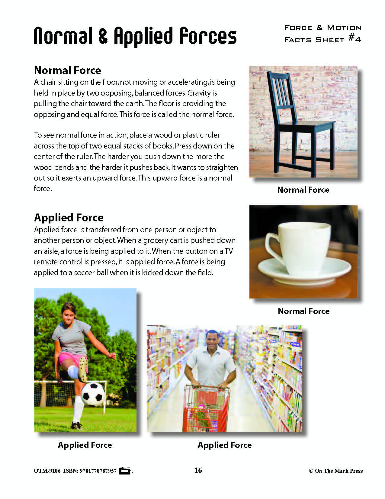 Force & Motion Activity Pages & Mini Poster Grades 4+