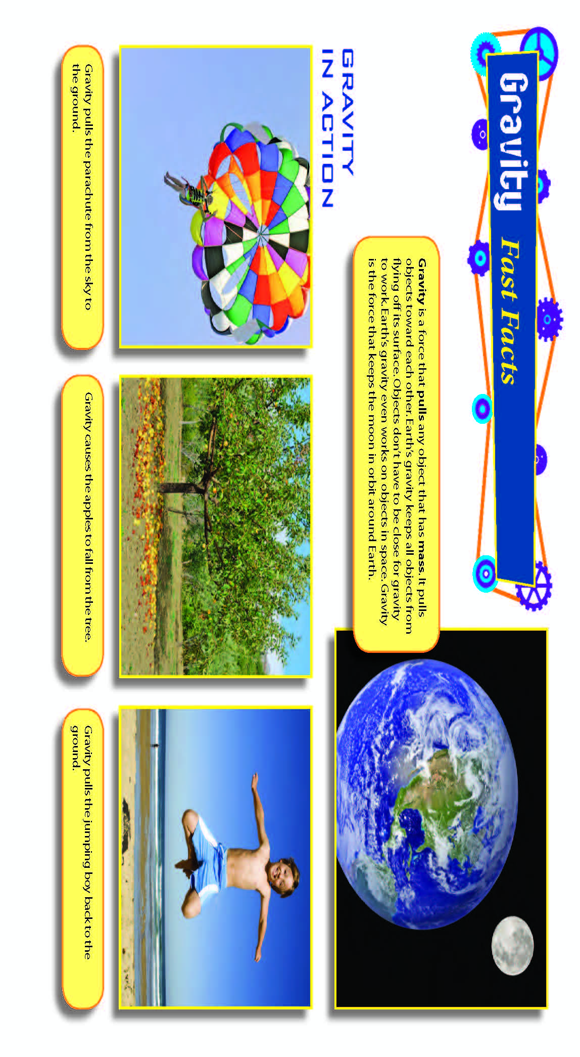 Gravity Activity Pages & Mini Poster Grades 4+