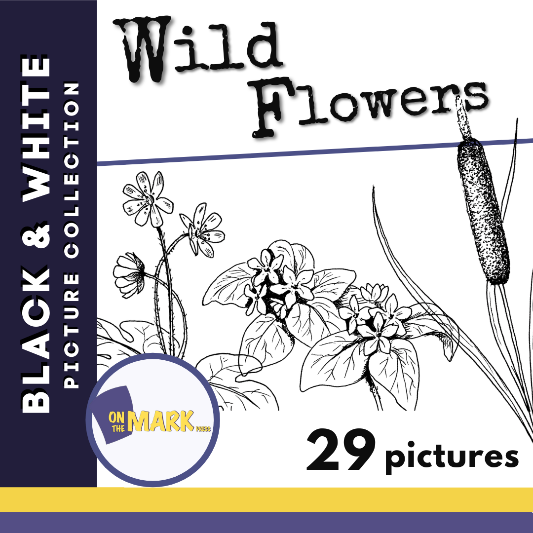 Wild Flowers Black & White Picture Collection Grades K-8