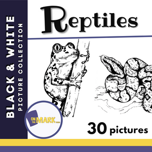 Reptiles Black & White Picture Collection Grades K-8