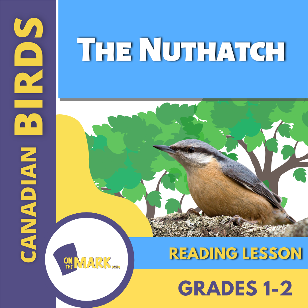 The Nuthatch Reading Lesson Grades 1-2