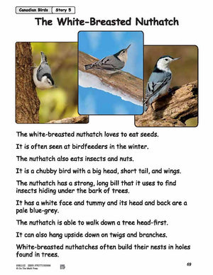 The Nuthatch Reading Lesson Grades 1-2