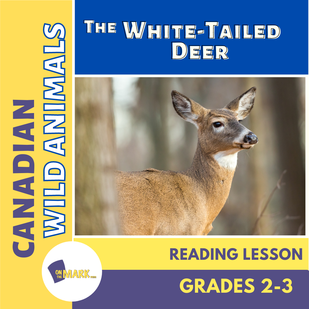 The White-Tailed Deer Reading Lesson Grades 2-3