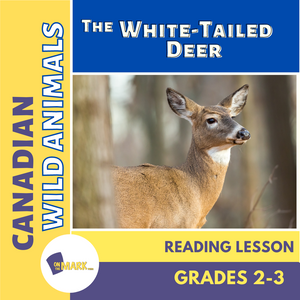 The White-Tailed Deer Reading Lesson Grades 2-3