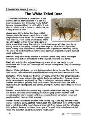 The White-Tailed Deer Reading Lesson Grades 2-3