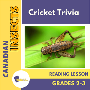 Cricket Trivia Reading Lesson Grades 2-3