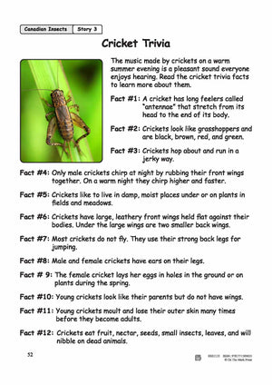 Cricket Trivia Reading Lesson Grades 2-3