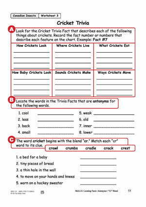 Cricket Trivia Reading Lesson Grades 2-3