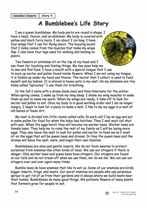 A Bumblebee's Life Story Reading Lesson Grades 2-3