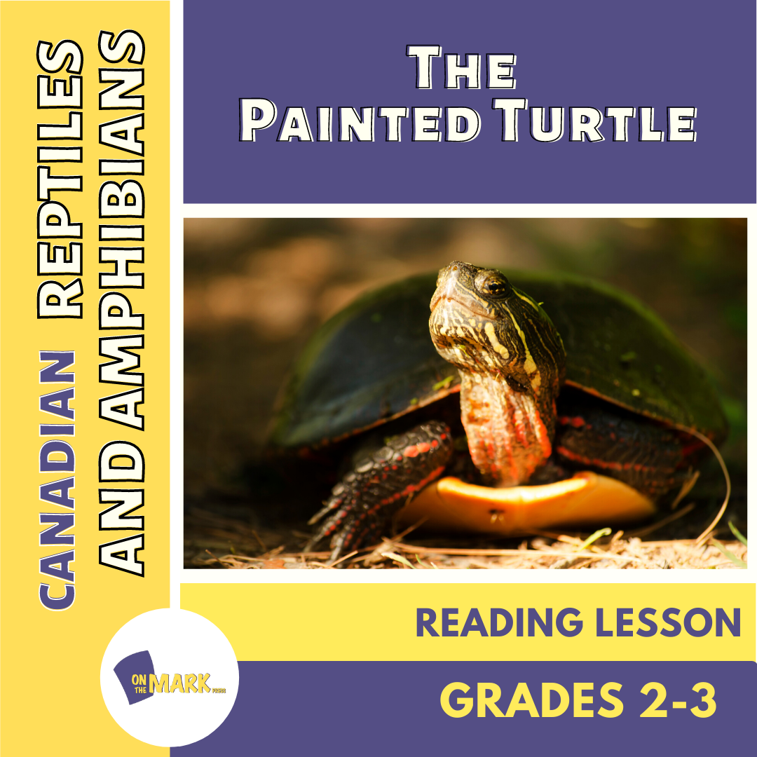 Canadian Reptiles and Amphibians: The Painted Turtle Reading Lesson Plan Gr 2-3