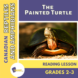 Canadian Reptiles and Amphibians: The Painted Turtle Reading Lesson Plan Gr 2-3