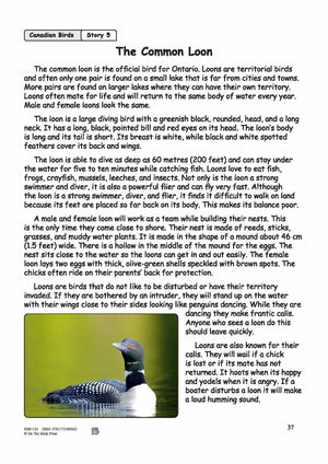 The Common Loon Reading Lesson Grades 3-4