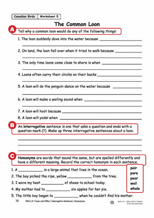 The Common Loon Reading Lesson Grades 3-4