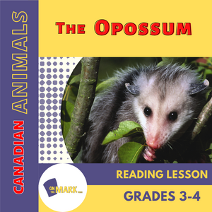 The Opossum Reading Lesson Grades 3-4